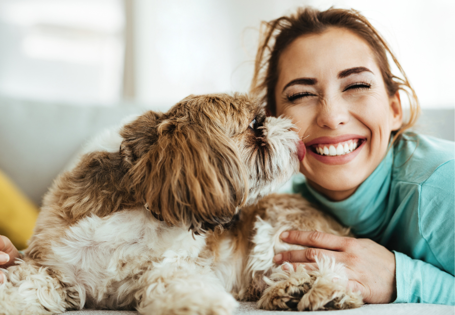 celebrar San Valentín con tu mascota